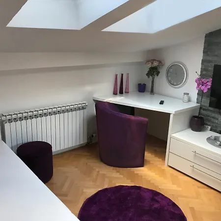 Luxury Apt In City Center *